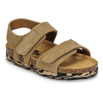 Citrouille et Compagnie BELLI JOE boys's Children's Sandals in Beige