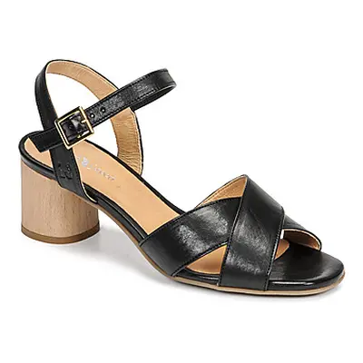 Dream in Green ODAINE women's Sandals in Black