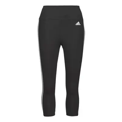 Adidas WESTIG women's Tights in Black