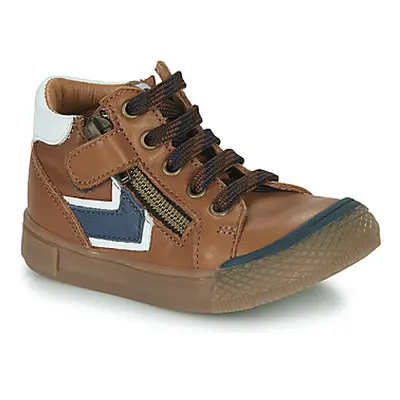 GBB DERKI boys's Children's Shoes (High-top Trainers) in Brown