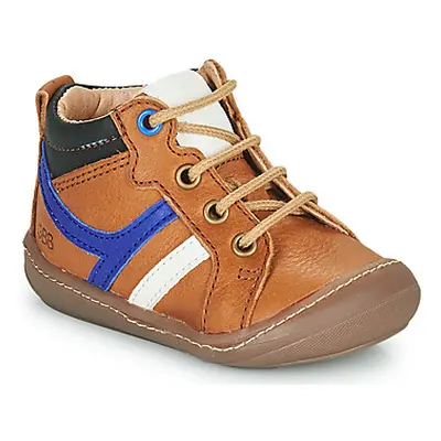 GBB CALVO boys's Children's Shoes (High-top Trainers) in Brown