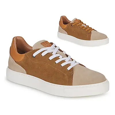 Pellet JOSEPH men's Shoes (Trainers) in Brown