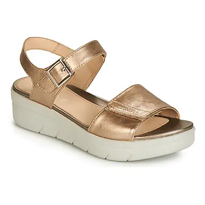 Stonefly AQUA III 2 LAMINATED women's Sandals in Gold