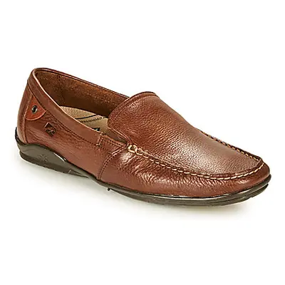 Fluchos BALTICO men's Loafers / Casual Shoes in Brown