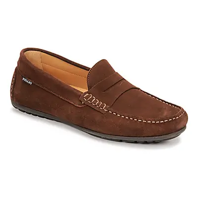 Pellet Cador men's Loafers / Casual Shoes in Brown