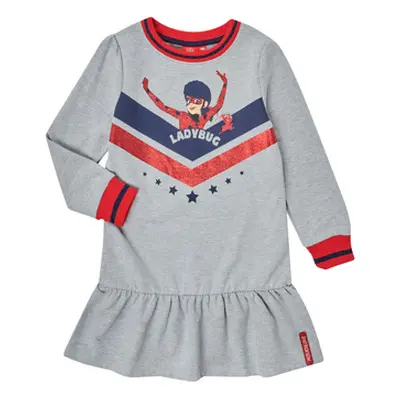 TEAM HEROES DRESS LADYBUG girls's Children's dress in Grey