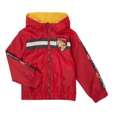 TEAM HEROES BLOUSON HARRY POTTER boys's Children's jacket in Bordeaux