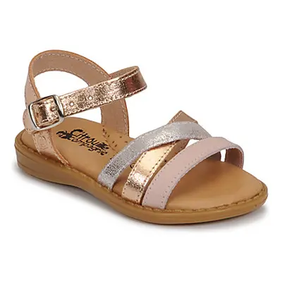 Citrouille et Compagnie IZOEGL girls's Children's Sandals in Pink