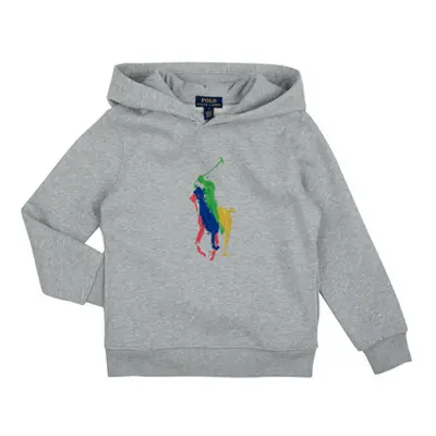 Polo Ralph Lauren PO HOOD-KNIT SHIRTS-SWEATSHIRT boys's Children's sweatshirt in Grey