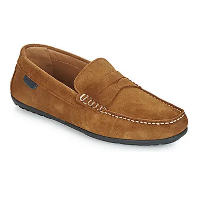 Pellet CADOR men's Loafers / Casual Shoes in Brown