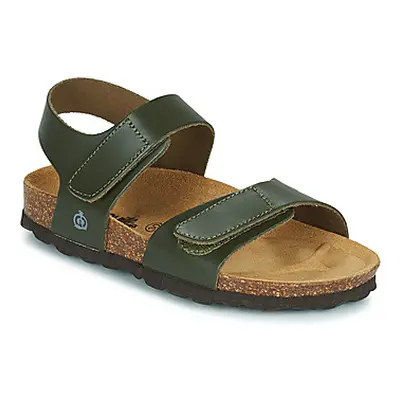 Citrouille et Compagnie BELLI JOE boys's Children's Sandals in Kaki