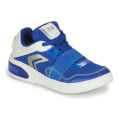 Geox J XLED B. B - MESH+GEOBUCK boys's Children's Shoes (Trainers) in Marine