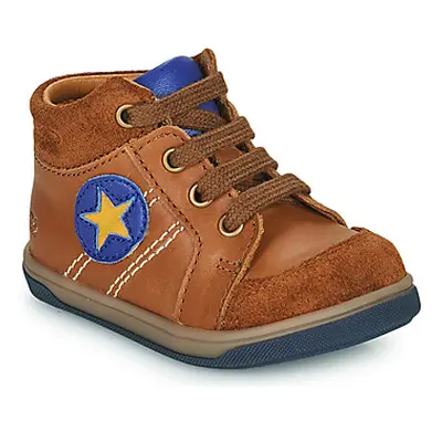 GBB GASTON boys's Children's Shoes (High-top Trainers) in Brown