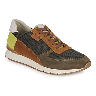 Pellet MALO men's Shoes (Trainers) in Green