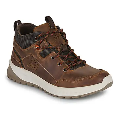 TBS LAWRENS men's Shoes (High-top Trainers) in Brown