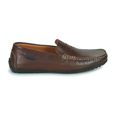 Pellet CADOR men's Loafers / Casual Shoes in Brown