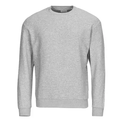 Jack & Jones JJEBRADLEY SWEAT CREW men's Sweatshirt in Grey