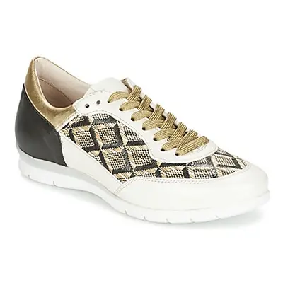 Mjus FORCE women's Shoes (Trainers) in Gold