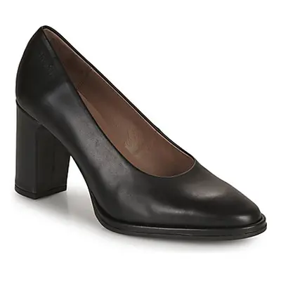 Wonders M-5101 women's Court Shoes in Black