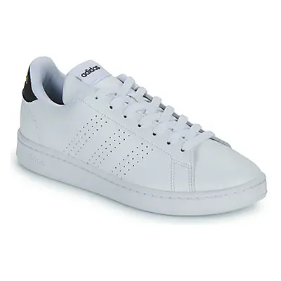 Adidas ADVANTAGE women's Shoes (Trainers) in White