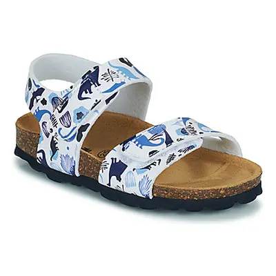 Citrouille et Compagnie BELLI JOE boys's Children's Sandals in White