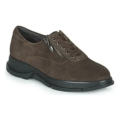 Scholl BRISTOL ZIP women's Shoes (Trainers) in Brown