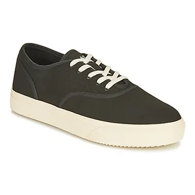 Clae AUGUST men's Shoes (Trainers) in Black