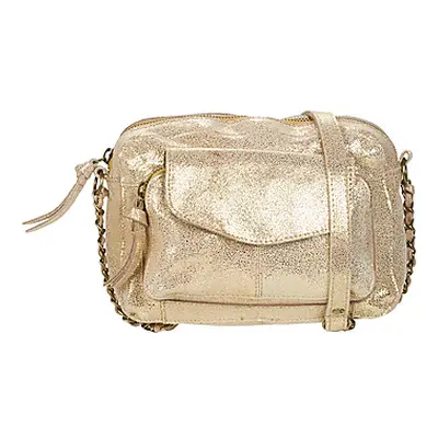 Pieces PCNAINA women's Shoulder Bag in Gold