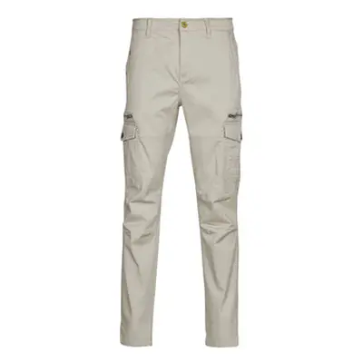 Deeluxe DANAKIL PA M men's Trousers in Beige