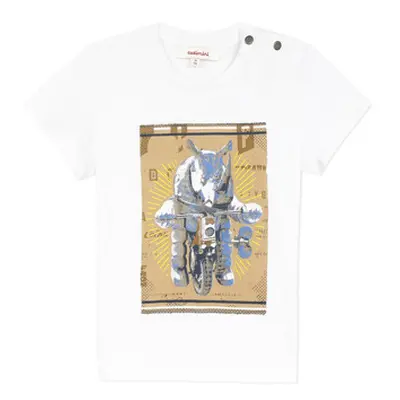 Catimini LARIBI boys's Children's T shirt in White