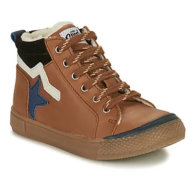 GBB NEFER boys's Children's Shoes (High-top Trainers) in Brown