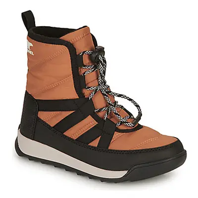 Sorel YOUTH WHITNEY II SHORT LACE WP boys's Children's Snow boots in Brown