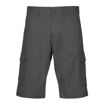 Esprit OCS N Cargo SH men's Shorts in Grey