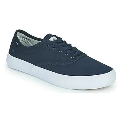 Element PASSIPH men's Shoes (Trainers) in Blue