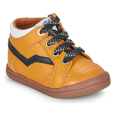 GBB ASTORY boys's Children's Shoes (High-top Trainers) in Yellow