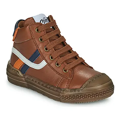 GBB RAPIDO boys's Children's Shoes (High-top Trainers) in Brown