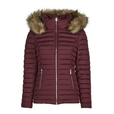 Les Petites Bombes ALIMA women's Jacket in Bordeaux