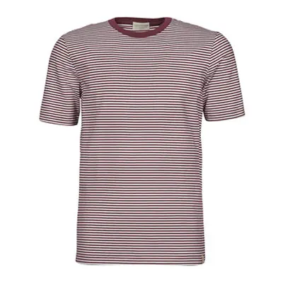 Scotch & Soda 160847 men's T shirt in Red