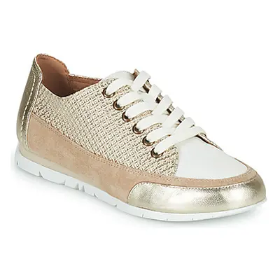 Karston CAMINO women's Shoes (Trainers) in Gold