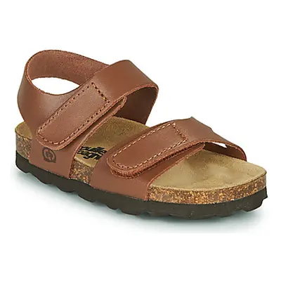 Citrouille et Compagnie BELLI JOE boys's Children's Sandals in Brown