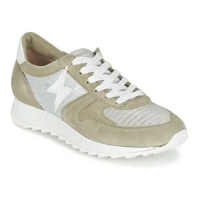 Mjus HONEY women's Shoes (Trainers) in Kaki