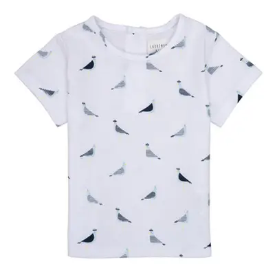 Carrément Beau THIERRY boys's Children's T shirt in White