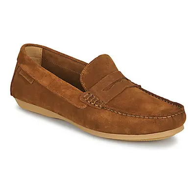 Carlington ERMYL men's Loafers / Casual Shoes in Brown