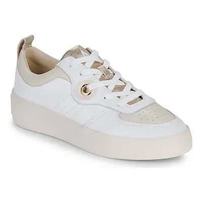 Armistice LOVA SNEAKER women's Shoes (Trainers) in White