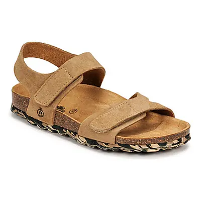 Citrouille et Compagnie BELLI JOE boys's Children's Sandals in Beige