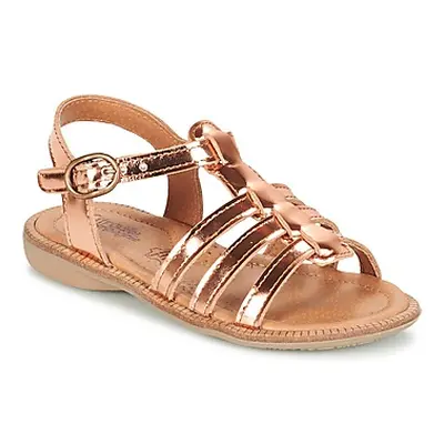 Citrouille et Compagnie GROUFLA girls's Children's Sandals in Gold