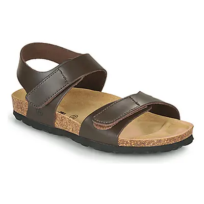 Citrouille et Compagnie BELLI JOE boys's Children's Sandals in Brown