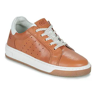 Citrouille et Compagnie JISTOL boys's Children's Shoes (Trainers) in Brown