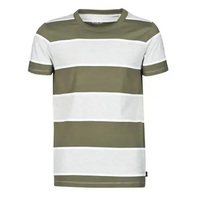 Esprit T-SHIRTS men's T shirt in Kaki