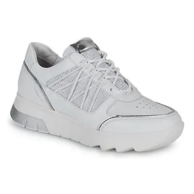 Stonefly SPOCK 34 women's Shoes (Trainers) in White